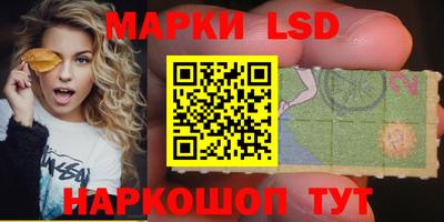 индика Пенза