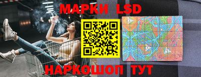 индика Пенза