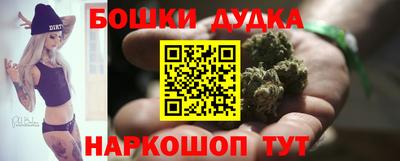 индика Пенза
