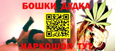 индика Пенза