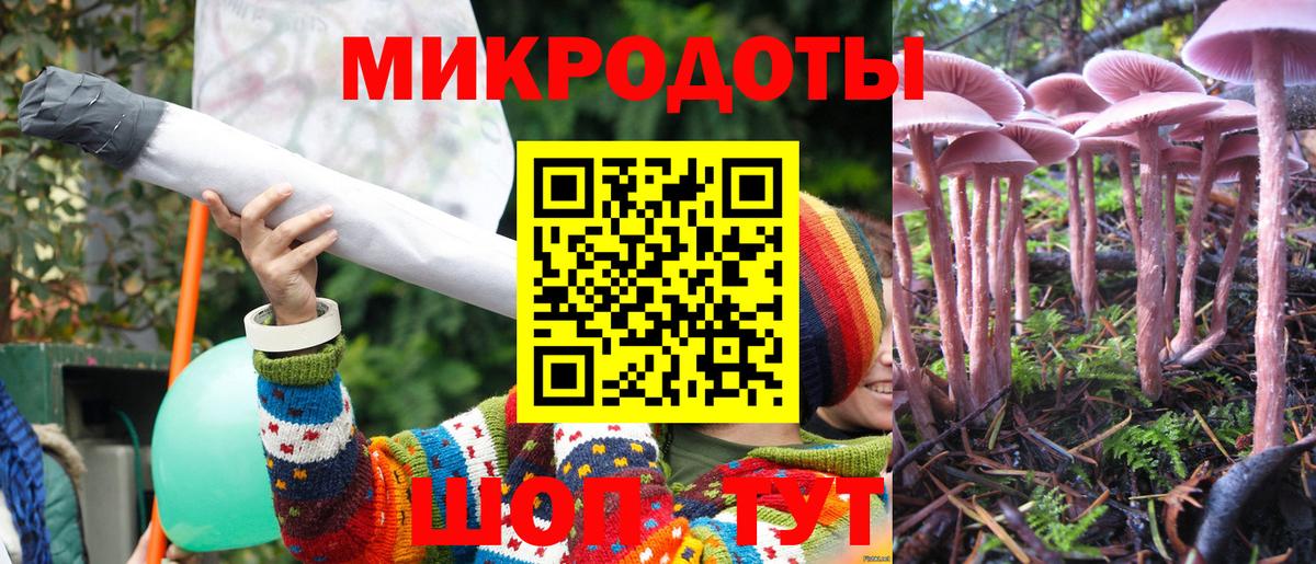 Галлюциногенные грибы мицелий Ростов-на-Дону