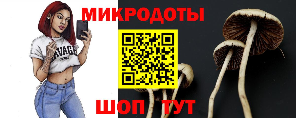Псилоцибиновые грибы Magic Shrooms  Галлюциногенные грибы прущие грибы  Ростов-на-Дону  Вход с VPN 